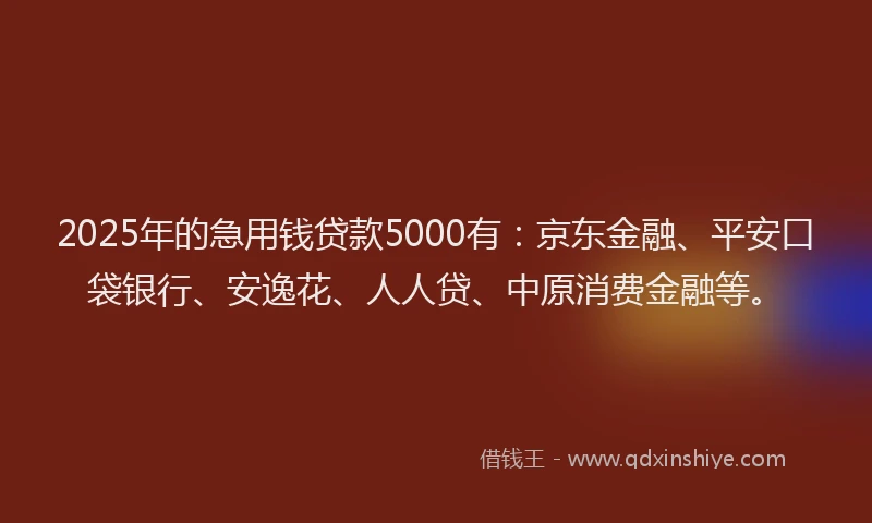 2025年的急用钱贷款5000有：京东金融、平安口袋银行、安逸花、人人贷、中原消费金融等。