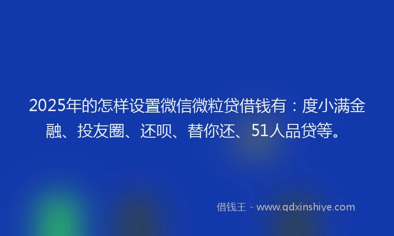 2025年的怎样设置微信微粒贷借钱有：度小满金融、投友圈、还呗、替你还、51人品贷等。