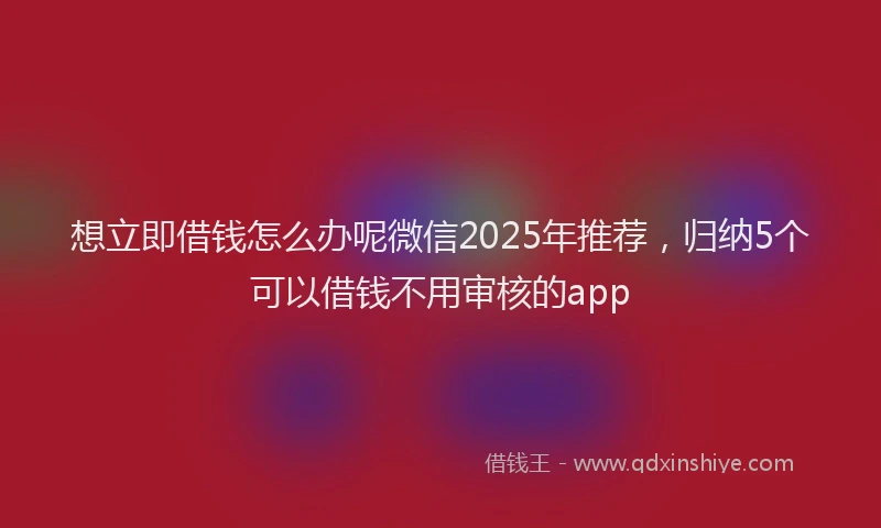 想立即借钱怎么办呢微信2025年推荐，归纳5个可以借钱不用审核的app