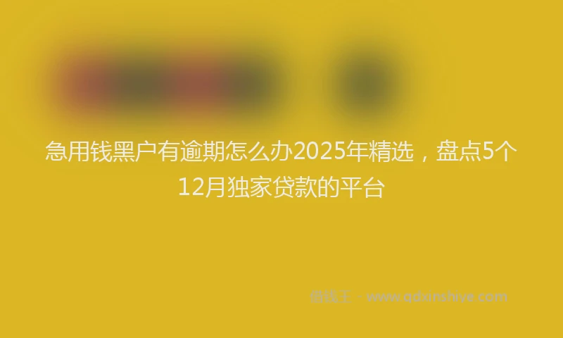 急用钱黑户有逾期怎么办2025年精选，盘点5个12月独家贷款的平台