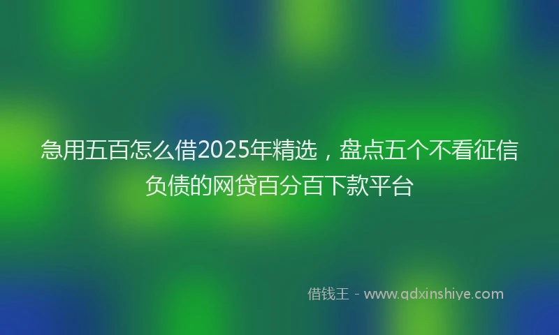 急用五百怎么借2025年精选，盘点五个不看征信负债的网贷百分百下款平台
