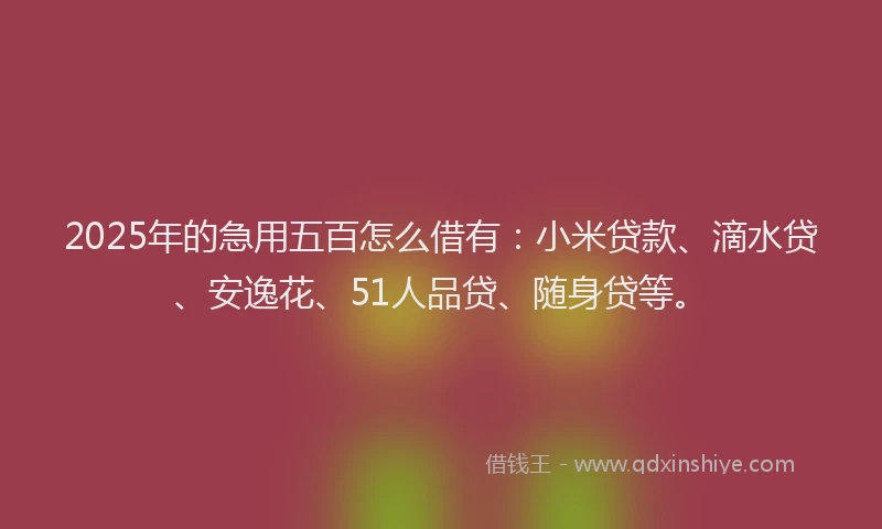 2025年的急用五百怎么借有:小米贷款、滴水贷、安逸花、51人品贷、随身贷等。