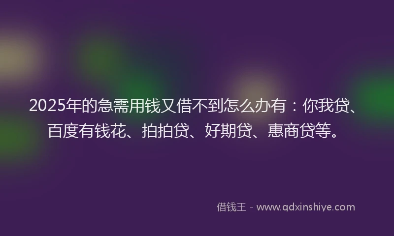 2025年的急需用钱又借不到怎么办有：你我贷、百度有钱花、拍拍贷、好期贷、惠商贷等。