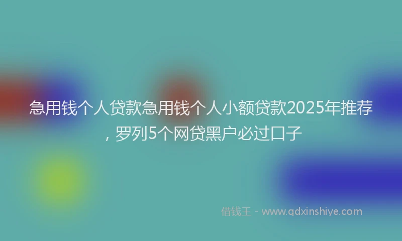 急用钱个人贷款急用钱个人小额贷款2025年推荐，罗列5个网贷黑户必过口子