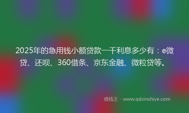 2025年的急用钱小额贷款一千利息多少有：e微贷、还呗、360借条、京东金融、微粒贷等。