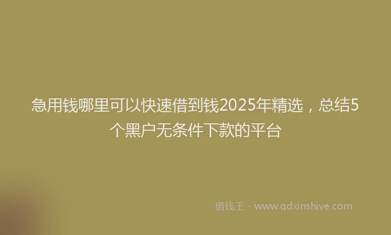 急用钱哪里可以快速借到钱2025年精选，总结5个黑户无条件下款的平台