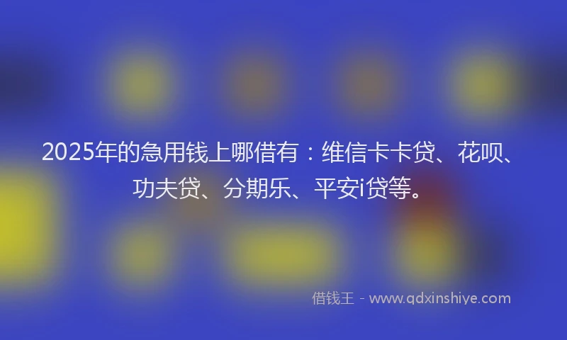 2025年的急用钱上哪借有：维信卡卡贷、花呗、功夫贷、分期乐、平安i贷等。