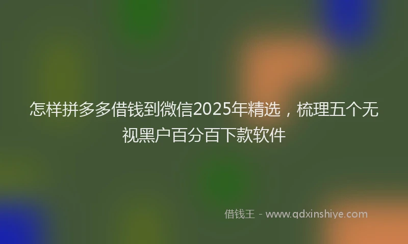 怎样拼多多借钱到微信2025年精选，梳理五个无视黑户百分百下款软件