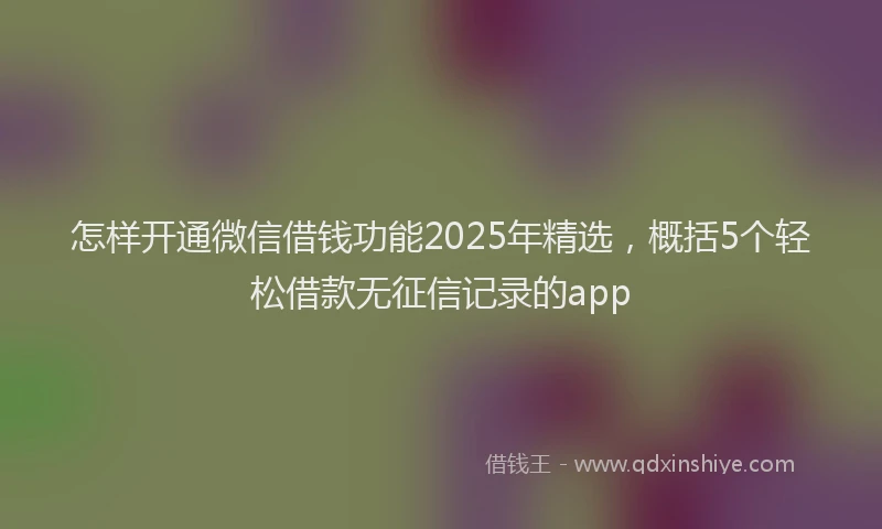怎样开通微信借钱功能2025年精选，概括5个轻松借款无征信记录的app