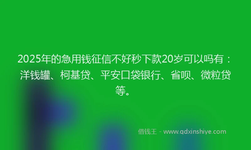 2025年的急用钱征信不好秒下款20岁可以吗有：洋钱罐、柯基贷、平安口袋银行、省呗、微粒贷等。