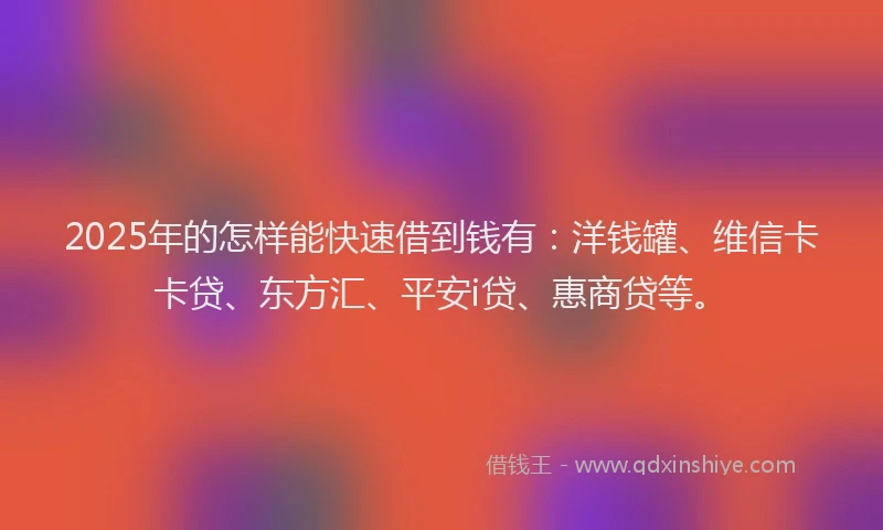 2025年的怎样能快速借到钱有：洋钱罐、维信卡卡贷、东方汇、平安i贷、惠商贷等。
