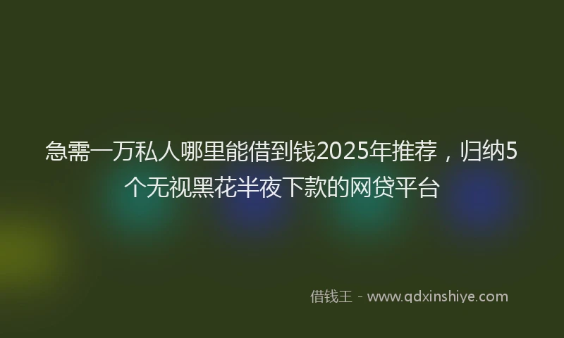 急需一万私人哪里能借到钱2025年推荐，归纳5个无视黑花半夜下款的网贷平台