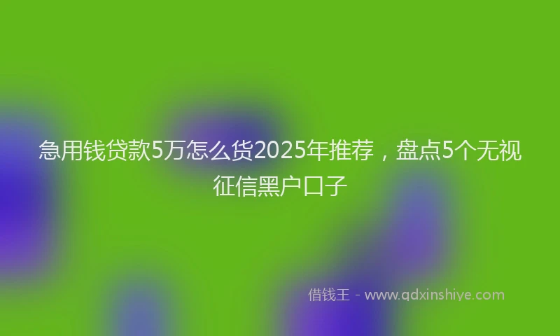 急用钱贷款5万怎么货2025年推荐，盘点5个无视征信黑户口子