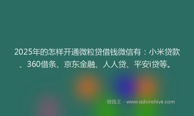 2025年的怎样开通微粒贷借钱微信有：小米贷款、360借条、京东金融、人人贷、平安i贷等。