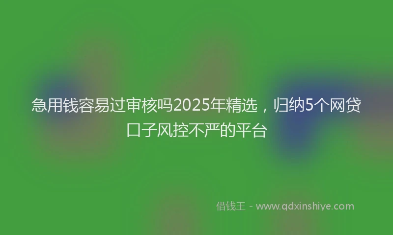 急用钱容易过审核吗2025年精选，归纳5个网贷口子风控不严的平台