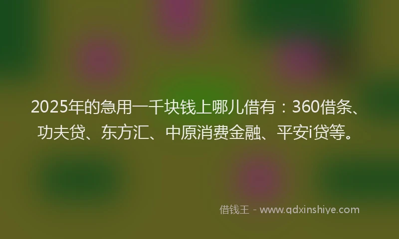 2025年的急用一千块钱上哪儿借有：360借条、功夫贷、东方汇、中原消费金融、平安i贷等。