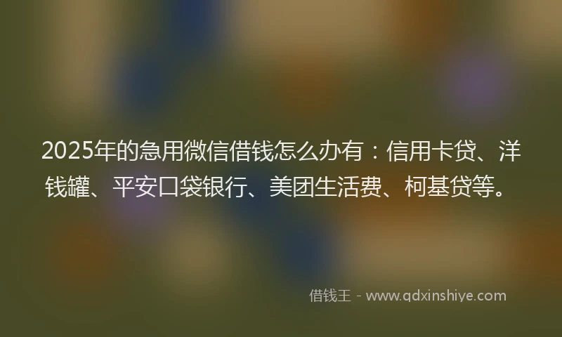 2025年的急用微信借钱怎么办有：信用卡贷、洋钱罐、平安口袋银行、美团生活费、柯基贷等。