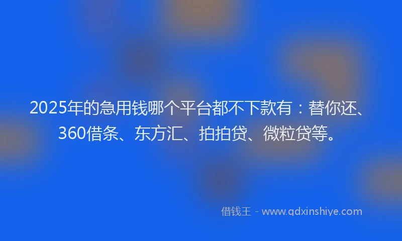 2025年的急用钱哪个平台都不下款有：替你还、360借条、东方汇、拍拍贷、微粒贷等。
