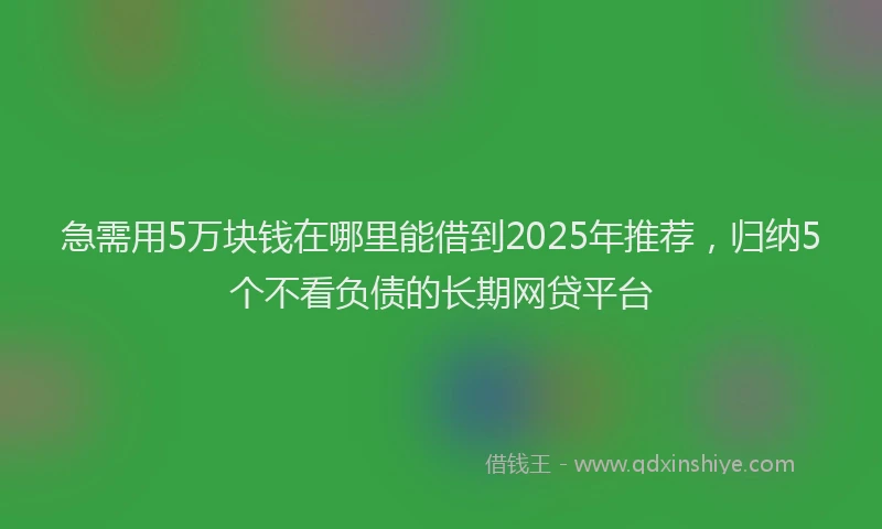 急需用5万块钱在哪里能借到2025年推荐，归纳5个不看负债的长期网贷平台
