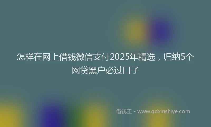 怎样在网上借钱微信支付2025年精选，归纳5个网贷黑户必过口子