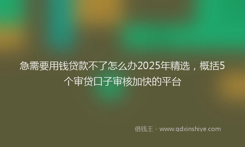急需要用钱贷款不了怎么办2025年精选，概括5个审贷口子审核加快的平台