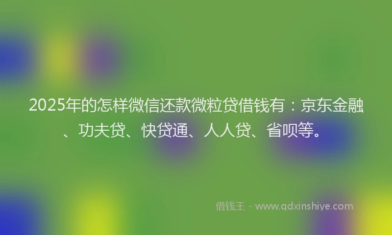 2025年的怎样微信还款微粒贷借钱有：京东金融、功夫贷、快贷通、人人贷、省呗等。
