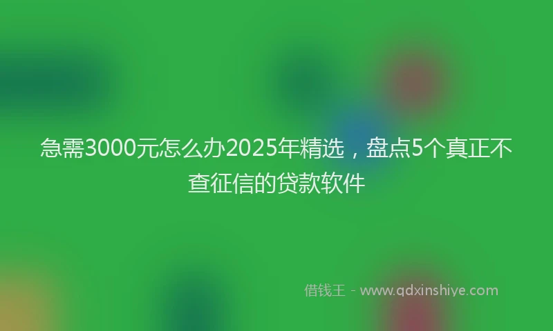 急需3000元怎么办2025年精选，盘点5个真正不查征信的贷款软件