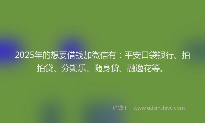 2025年的想要借钱加微信有：平安口袋银行、拍拍贷、分期乐、随身贷、融逸花等。