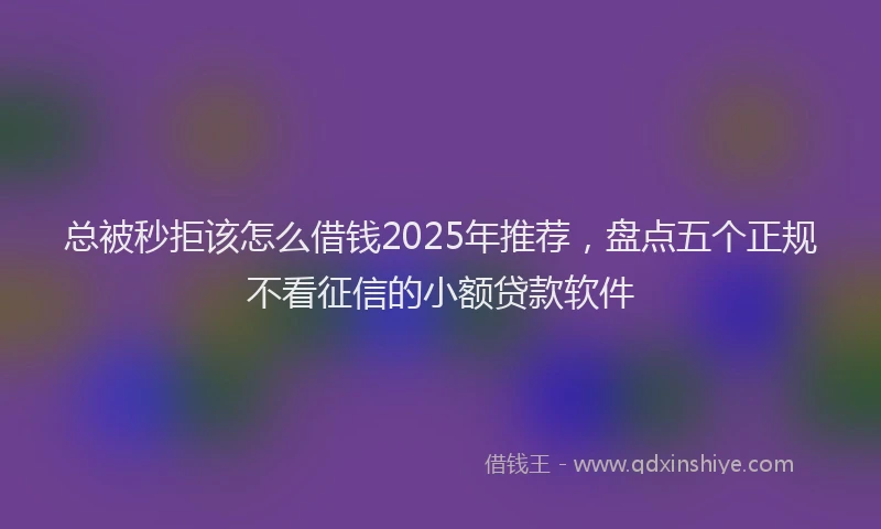 总被秒拒该怎么借钱2025年推荐，盘点五个正规不看征信的小额贷款软件