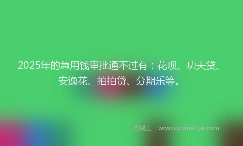 2025年的急用钱审批通不过有：花呗、功夫贷、安逸花、拍拍贷、分期乐等。