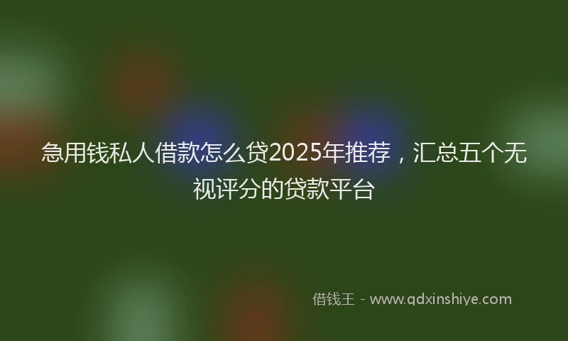 急用钱私人借款怎么贷2025年推荐，汇总五个无视评分的贷款平台