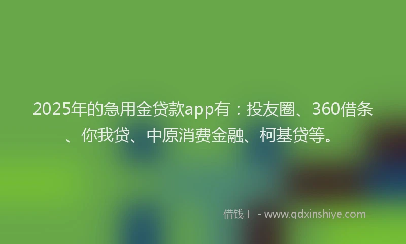 2025年的急用金贷款app有：投友圈、360借条、你我贷、中原消费金融、柯基贷等。