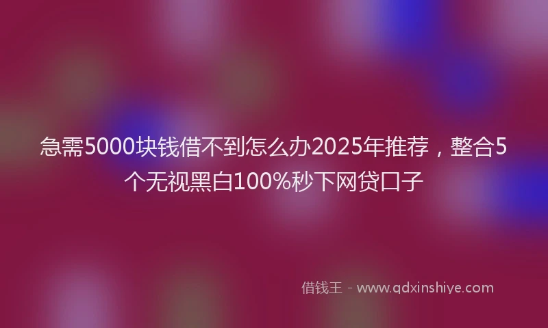 急需5000块钱借不到怎么办2025年推荐，整合5个无视黑白100%秒下网贷口子