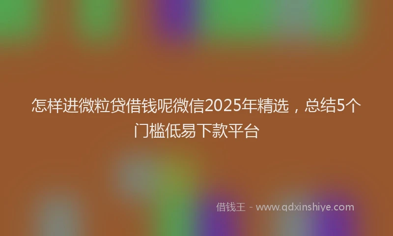 怎样进微粒贷借钱呢微信2025年精选，总结5个门槛低易下款平台