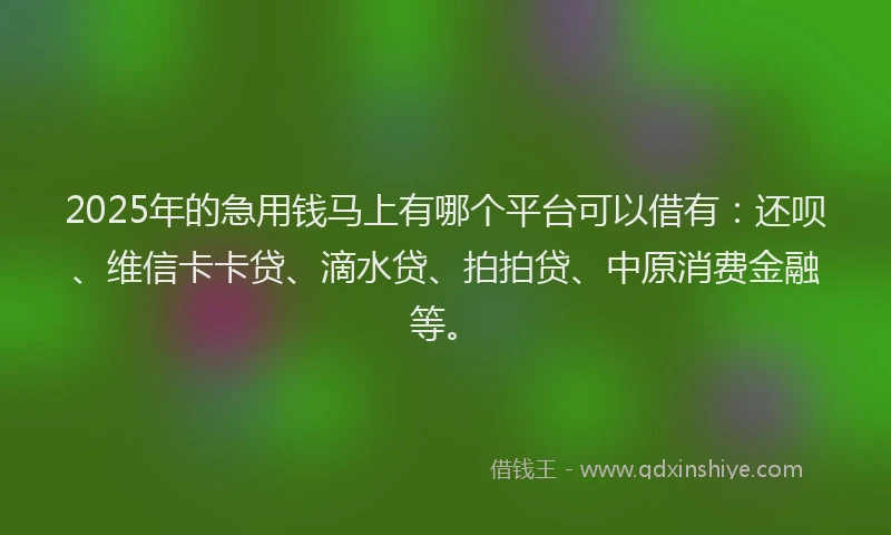 2025年的急用钱马上有哪个平台可以借有：还呗、维信卡卡贷、滴水贷、拍拍贷、中原消费金融等。