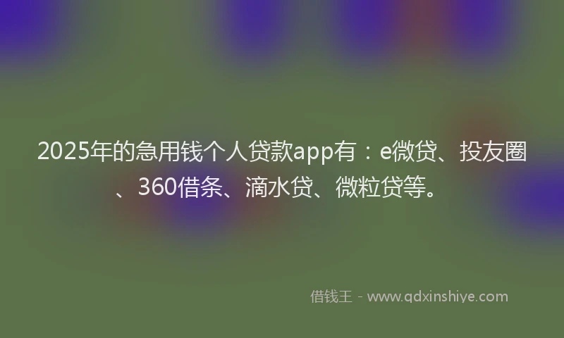 2025年的急用钱个人贷款app有：e微贷、投友圈、360借条、滴水贷、微粒贷等。
