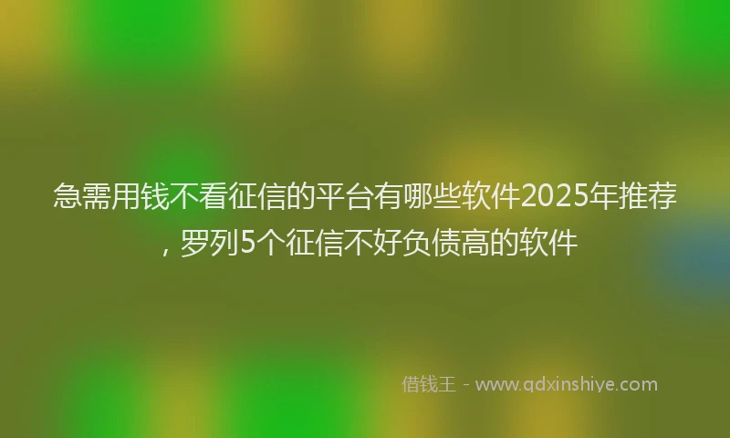 急需用钱不看征信的平台有哪些软件2025年推荐，罗列5个征信不好负债高的软件