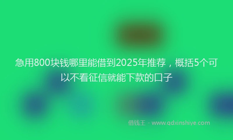 急用800块钱哪里能借到2025年推荐，概括5个可以不看征信就能下款的口子