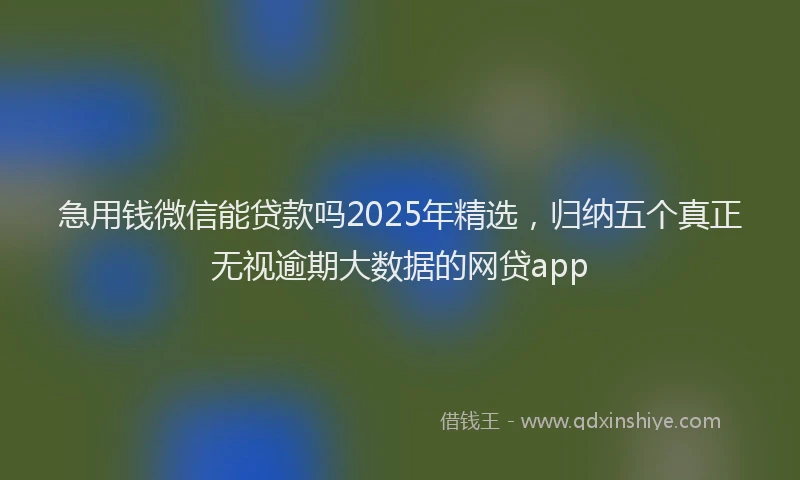 急用钱微信能贷款吗2025年精选，归纳五个真正无视逾期大数据的网贷app