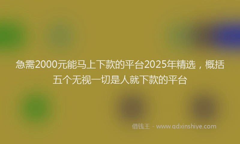 急需2000元能马上下款的平台2025年精选，概括五个无视一切是人就下款的平台
