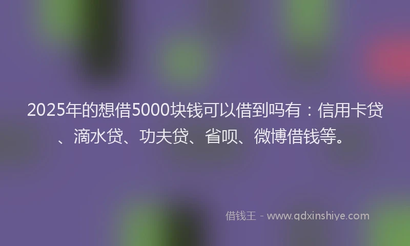 2025年的想借5000块钱可以借到吗有：信用卡贷、滴水贷、功夫贷、省呗、微博借钱等。