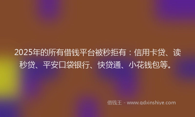 2025年的所有借钱平台被秒拒有：信用卡贷、读秒贷、平安口袋银行、快贷通、小花钱包等。