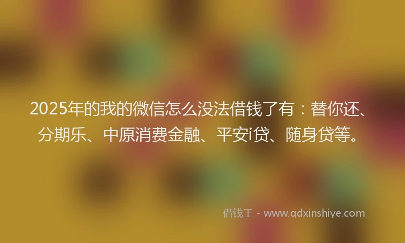 2025年的我的微信怎么没法借钱了有：替你还、分期乐、中原消费金融、平安i贷、随身贷等。