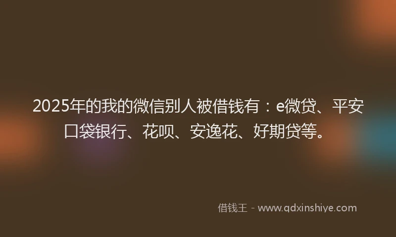 2025年的我的微信别人被借钱有：e微贷、平安口袋银行、花呗、安逸花、好期贷等。