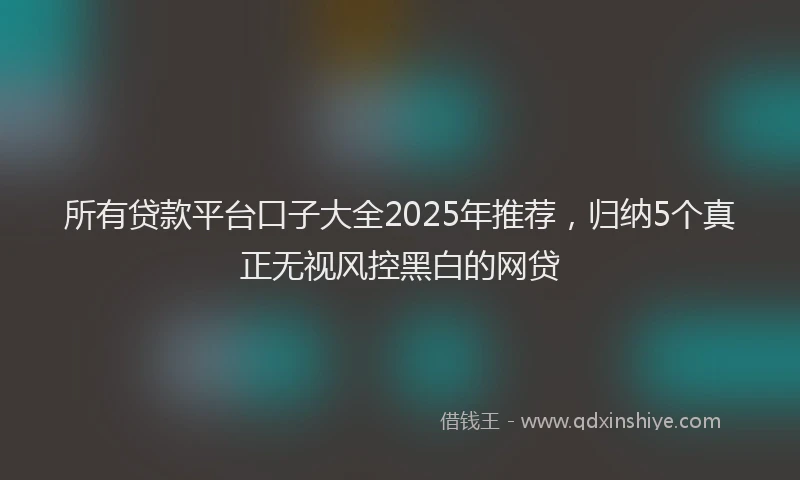 所有贷款平台口子大全2025年推荐，归纳5个真正无视风控黑白的网贷