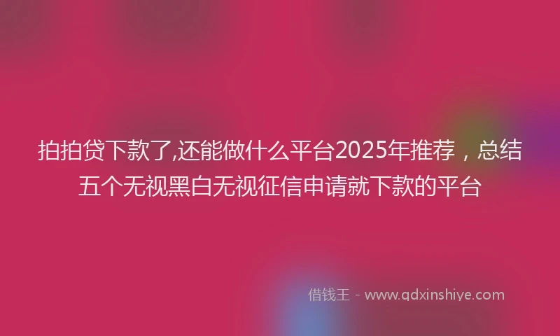 拍拍贷下款了,还能做什么平台2025年推荐，总结五个无视黑白无视征信申请就下款的平台