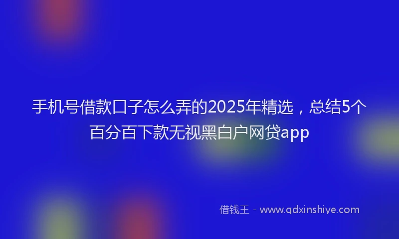 手机号借款口子怎么弄的2025年精选，总结5个百分百下款无视黑白户网贷app