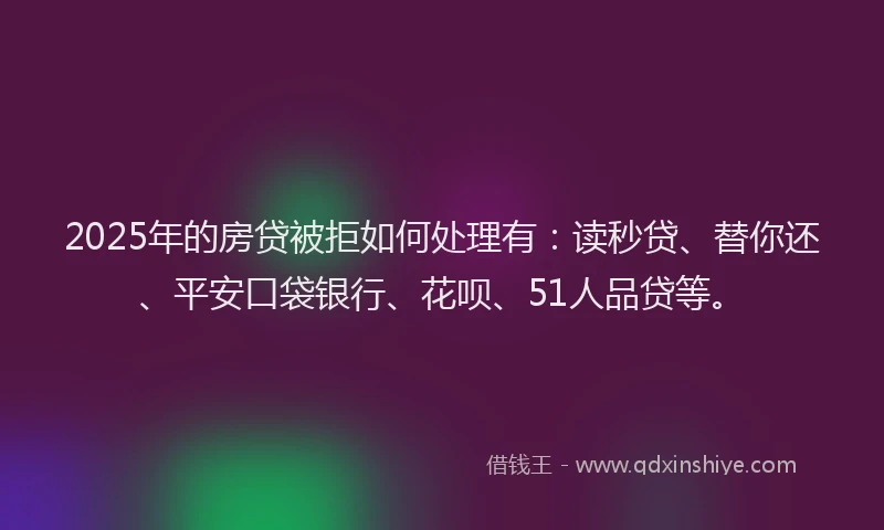 2025年的房贷被拒如何处理有：读秒贷、替你还、平安口袋银行、花呗、51人品贷等。