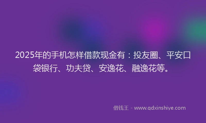 2025年的手机怎样借款现金有：投友圈、平安口袋银行、功夫贷、安逸花、融逸花等。