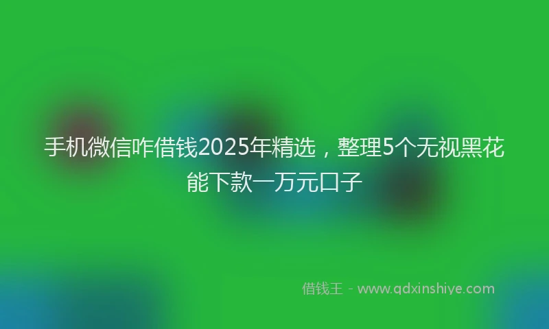 手机微信咋借钱2025年精选，整理5个无视黑花能下款一万元口子